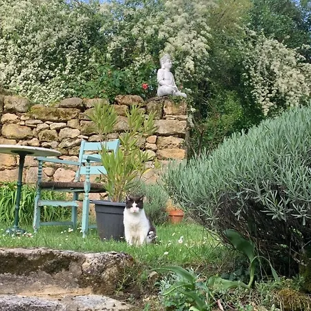Ferme De Tayac - Charme Avec Pool Gæstehus Les Eyzies
