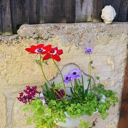 Ferme De Tayac - Charme Avec Pool Pensionat